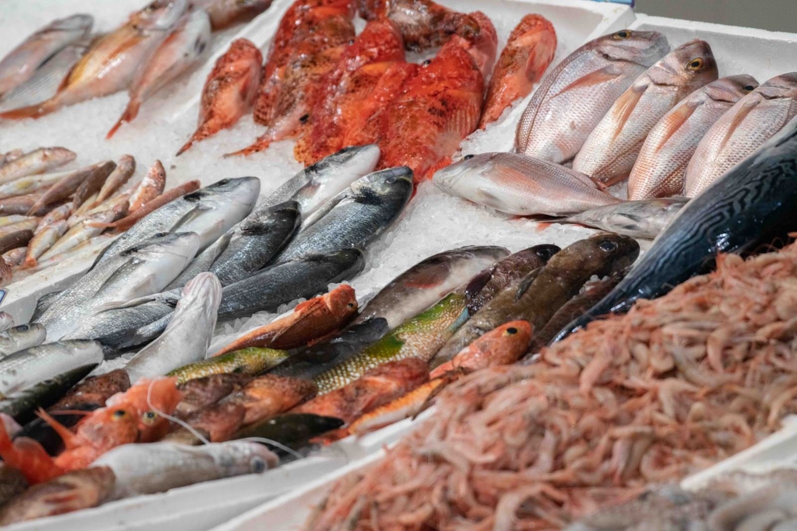 Fresh fish and seafood arranged on ice at the market