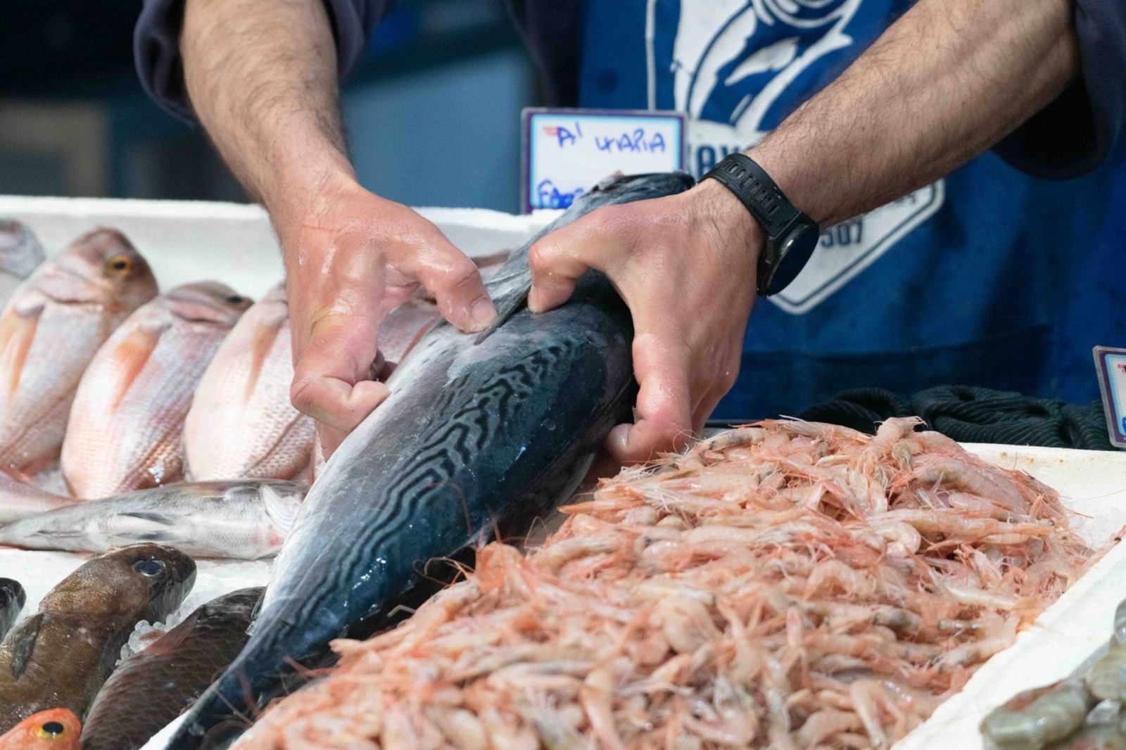 Fishmonger handling a tuna beside fresh shrimp