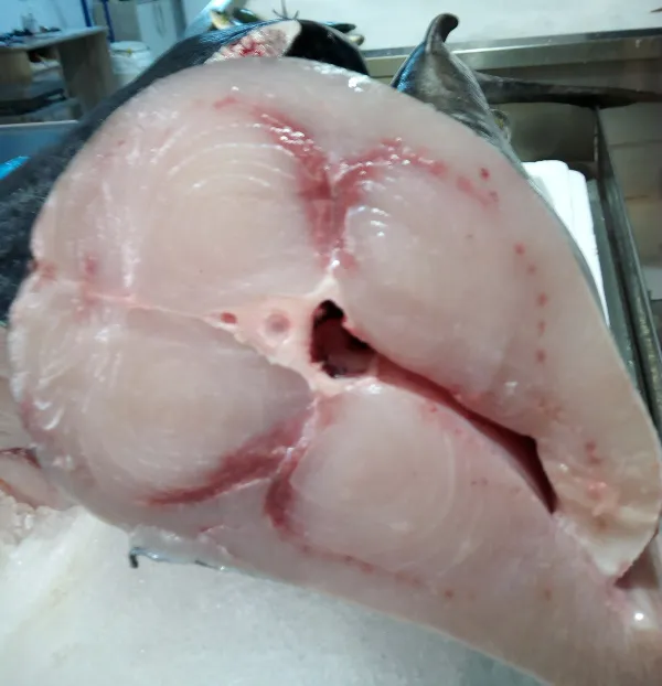 Fresh fish steak prepared at the market
