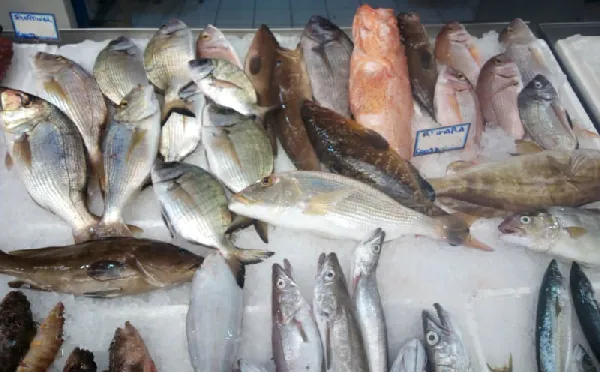 Fresh fish arranged for customers at the market