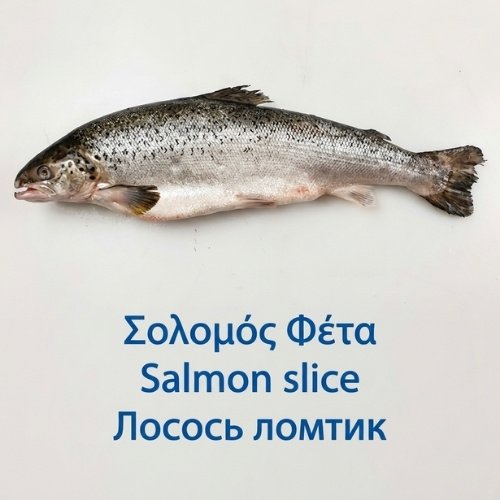 Salmon slice